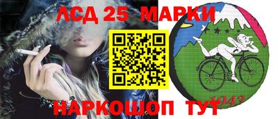 шишки Краснодар