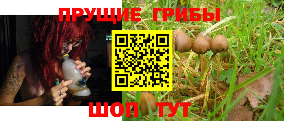 Псилоцибиновые грибы мицелий Когалым