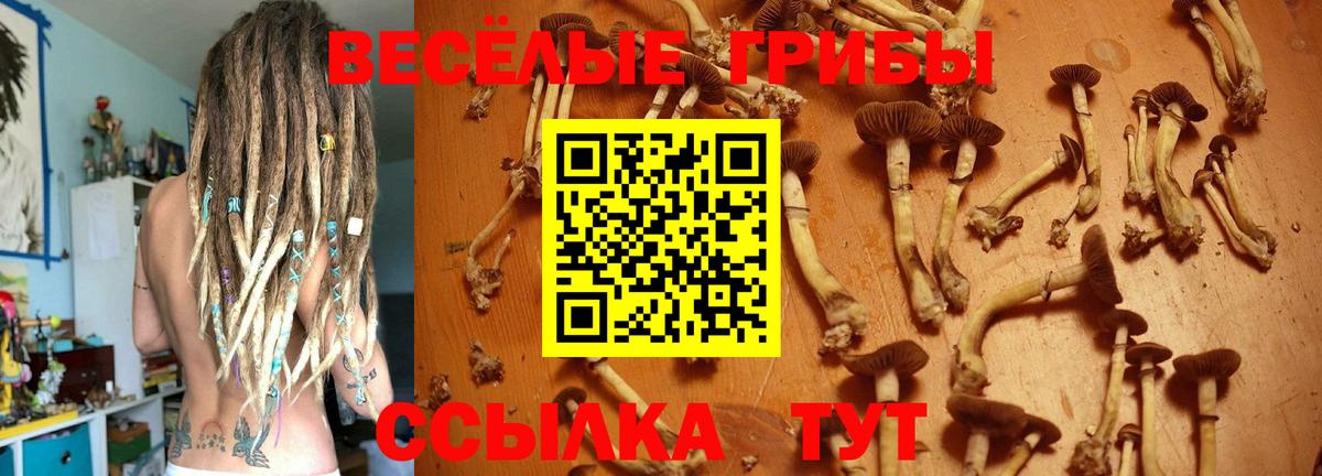 Псилоцибиновые грибы прущие грибы  Псилоцибиновые грибы ЛСД  Когалым  Вход с VPN 
